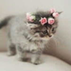 Meet your Posher, Katelyn